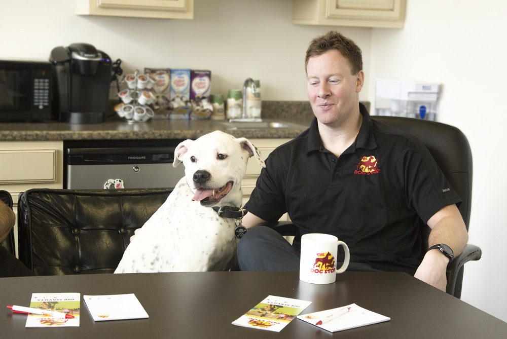 Are Dog Daycare Businesses Profitable? The Dog Stop