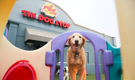 The Dog Stop®  Dog Daycare, Boarding, Grooming & More