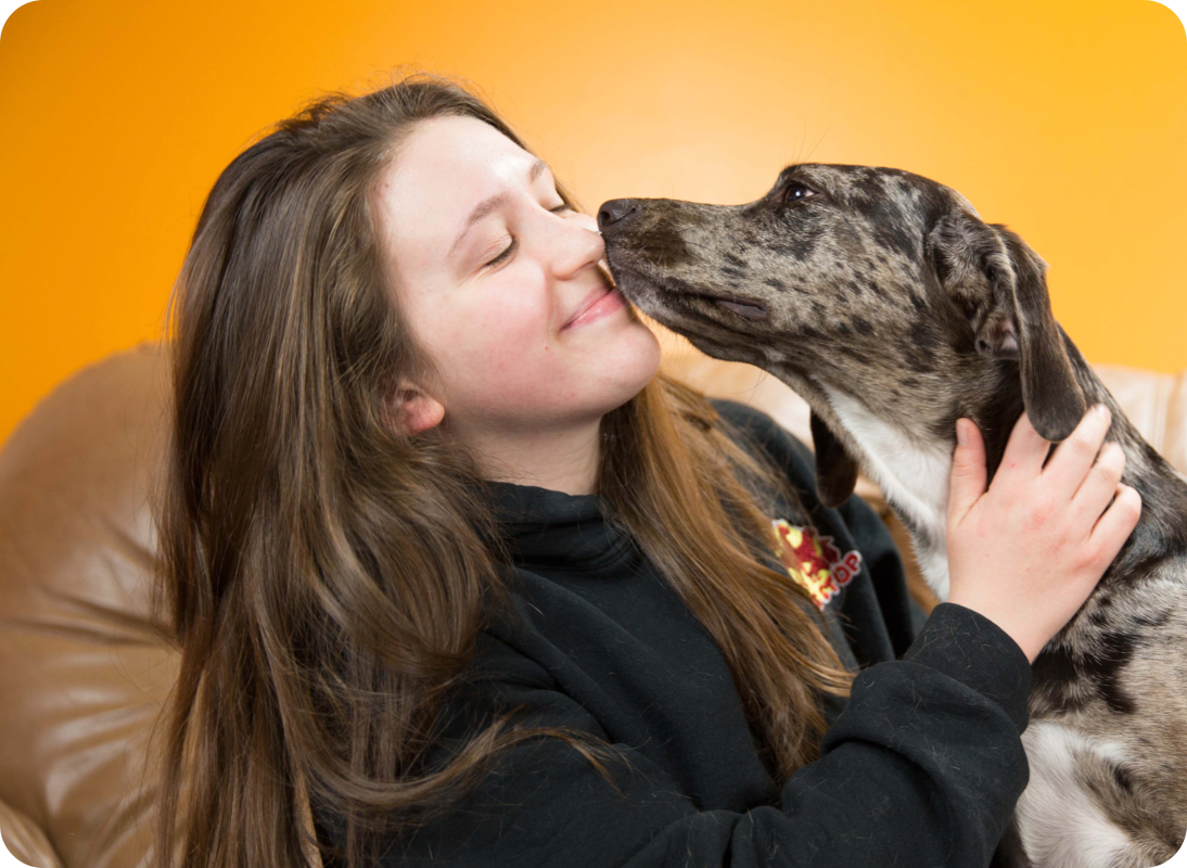 Is Starting a Dog Daycare Business Right For You? The Dog Stop