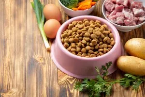 Choosing The Best Dog Food The Dog Stop