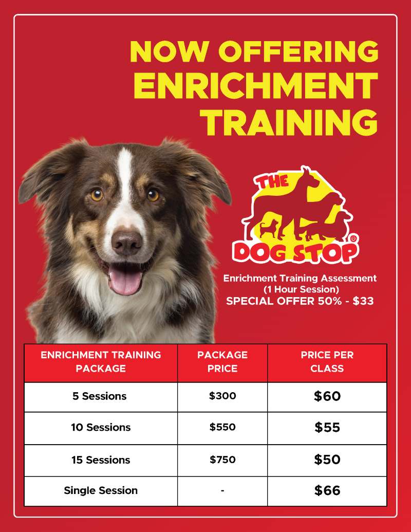 The Dog Stop Enrichment Training Prices
