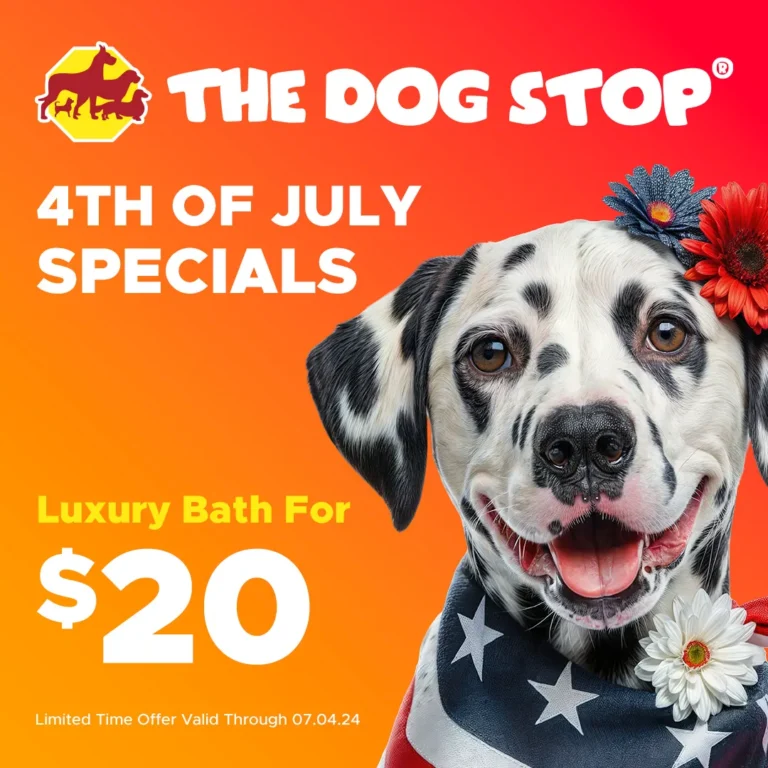4th of July Sale 