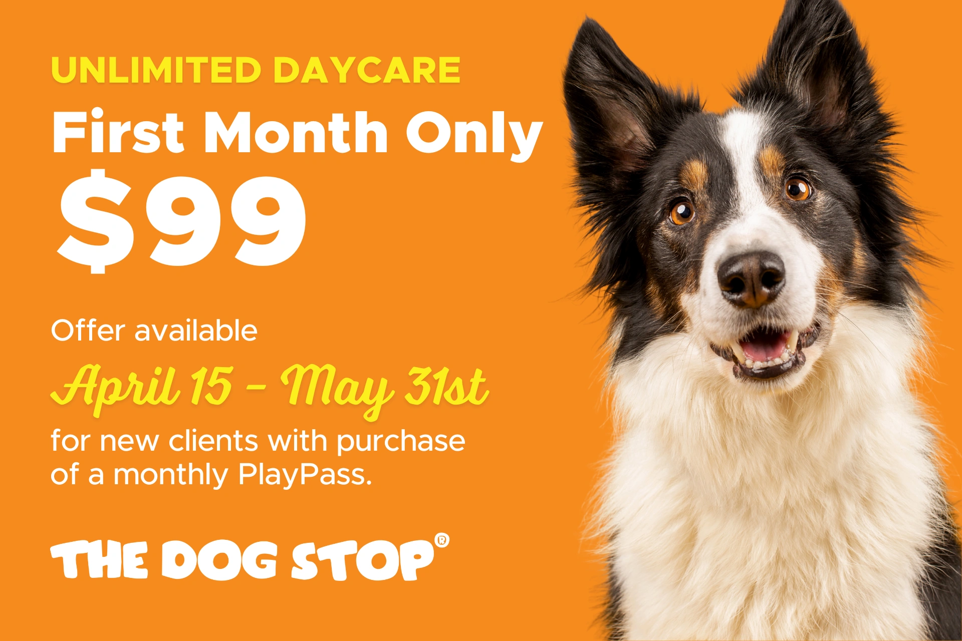 $99 Play Pass