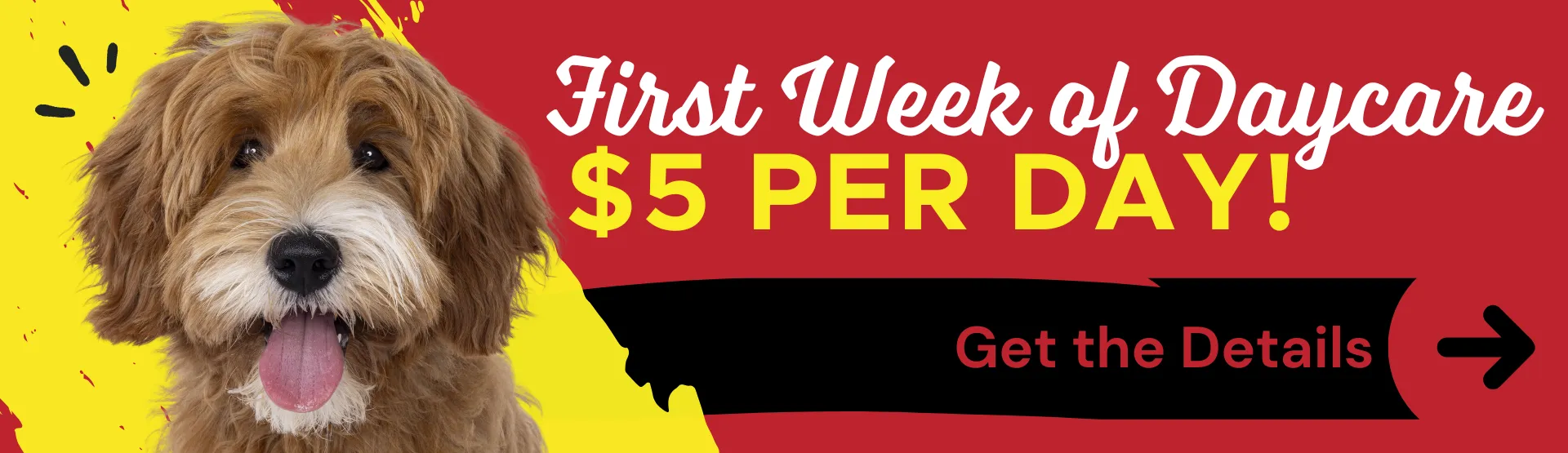 First week of daycare $5 a day