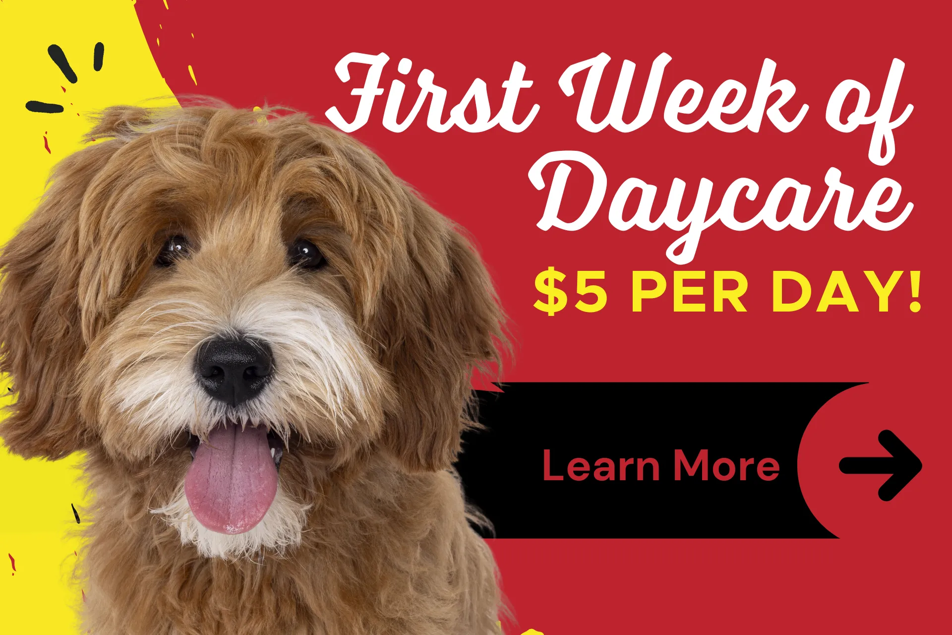 First week of daycare $5 a day