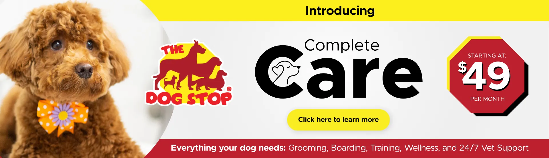 Introducing Complete Care